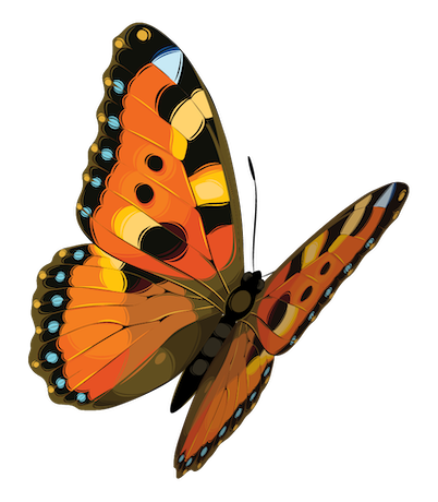 Butterfly 0