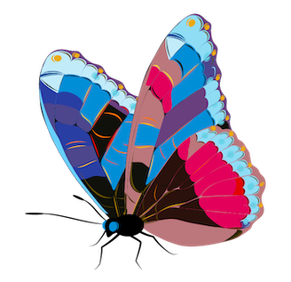 Butterfly 0